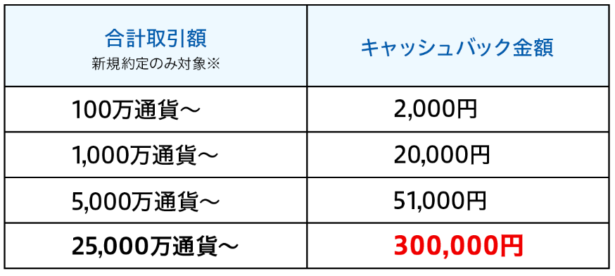 最大300,000円のキャッシュバック