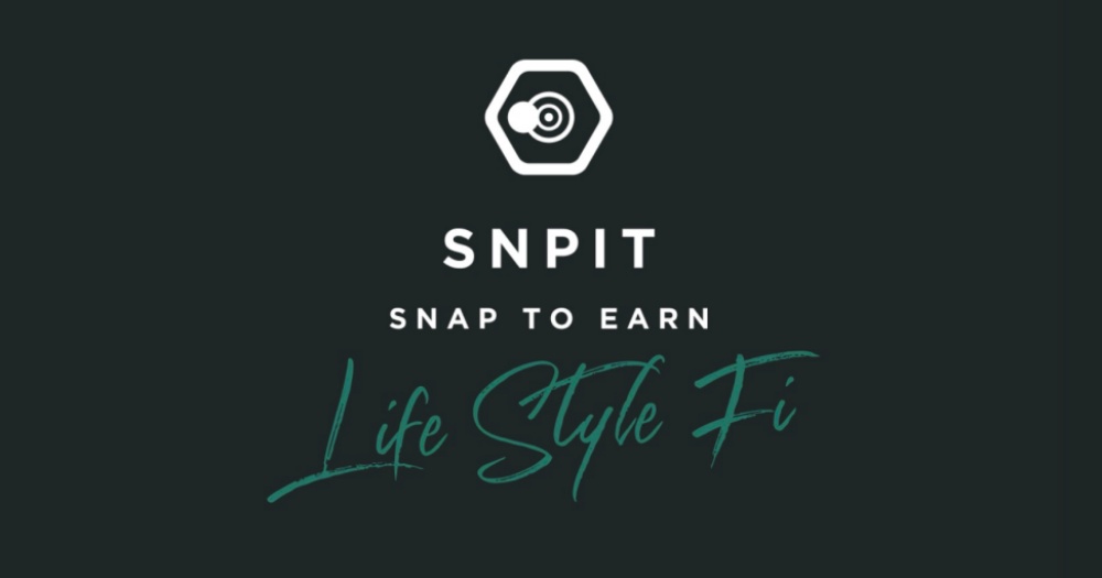 SNPIT公式サイト2